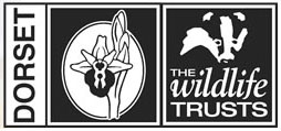 Dorset Wildlife Trust